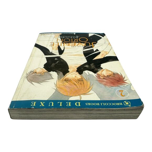 Aquarian Age Juvenile Orion Vol 2 by Sakurako Gokurakuin English Fantasy Manga - Picture 5 of 6